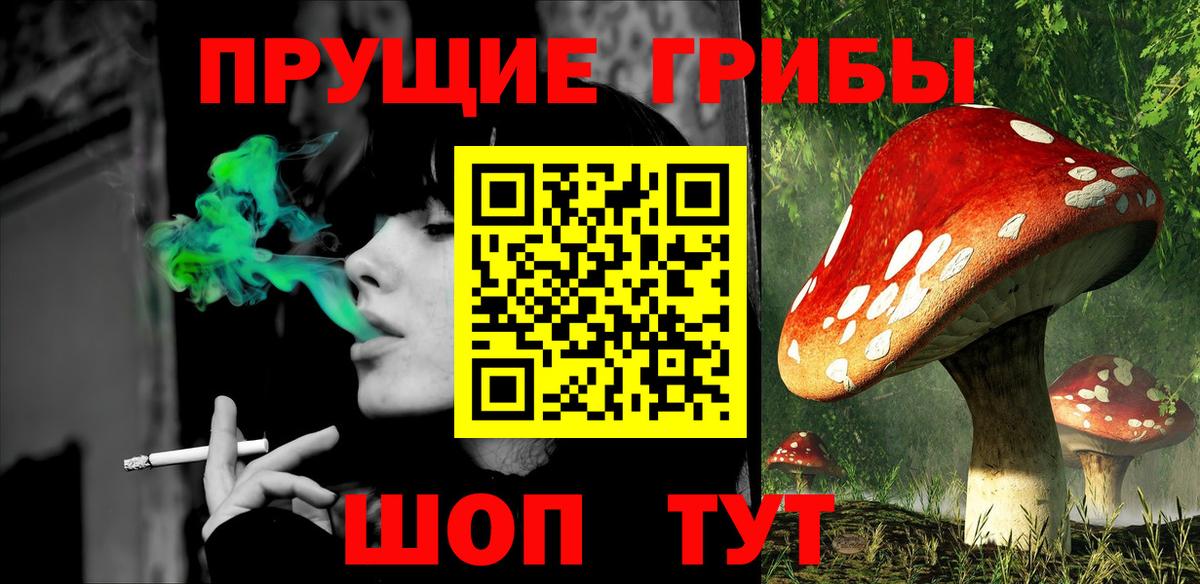 Ефремов  Псилоцибиновые грибы Psilocybe  Вход с VPN 
